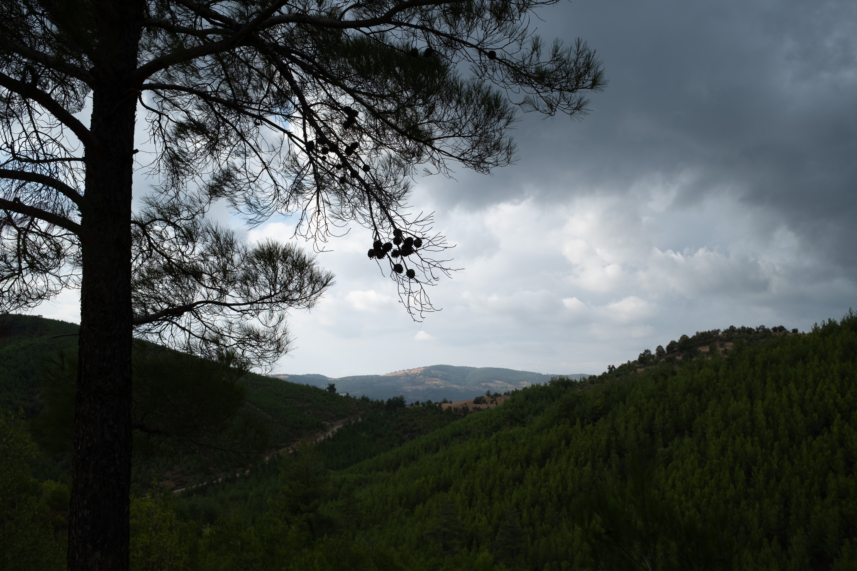 Bayramiç, Çanakkale