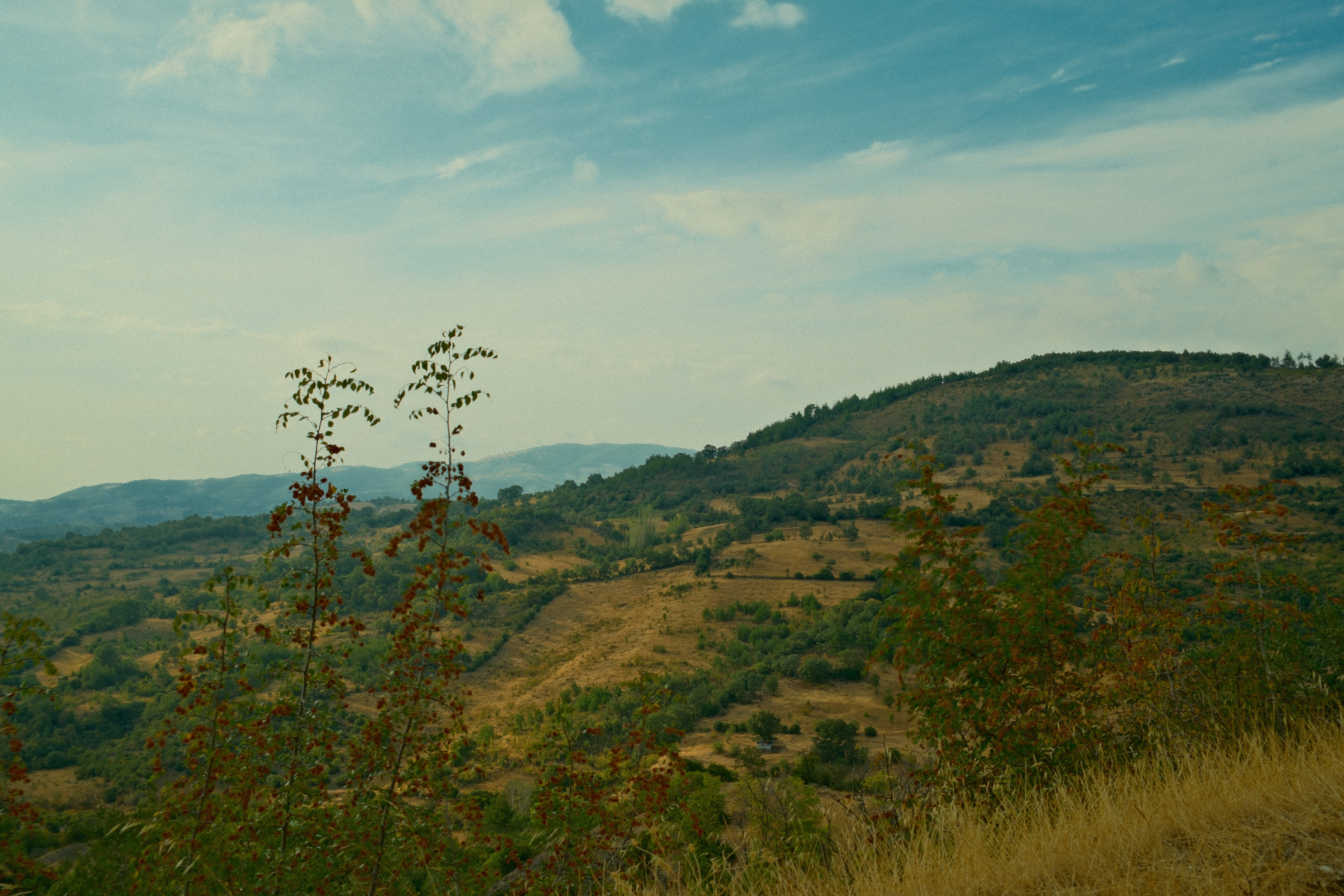 Bayramiç, Çanakkale
