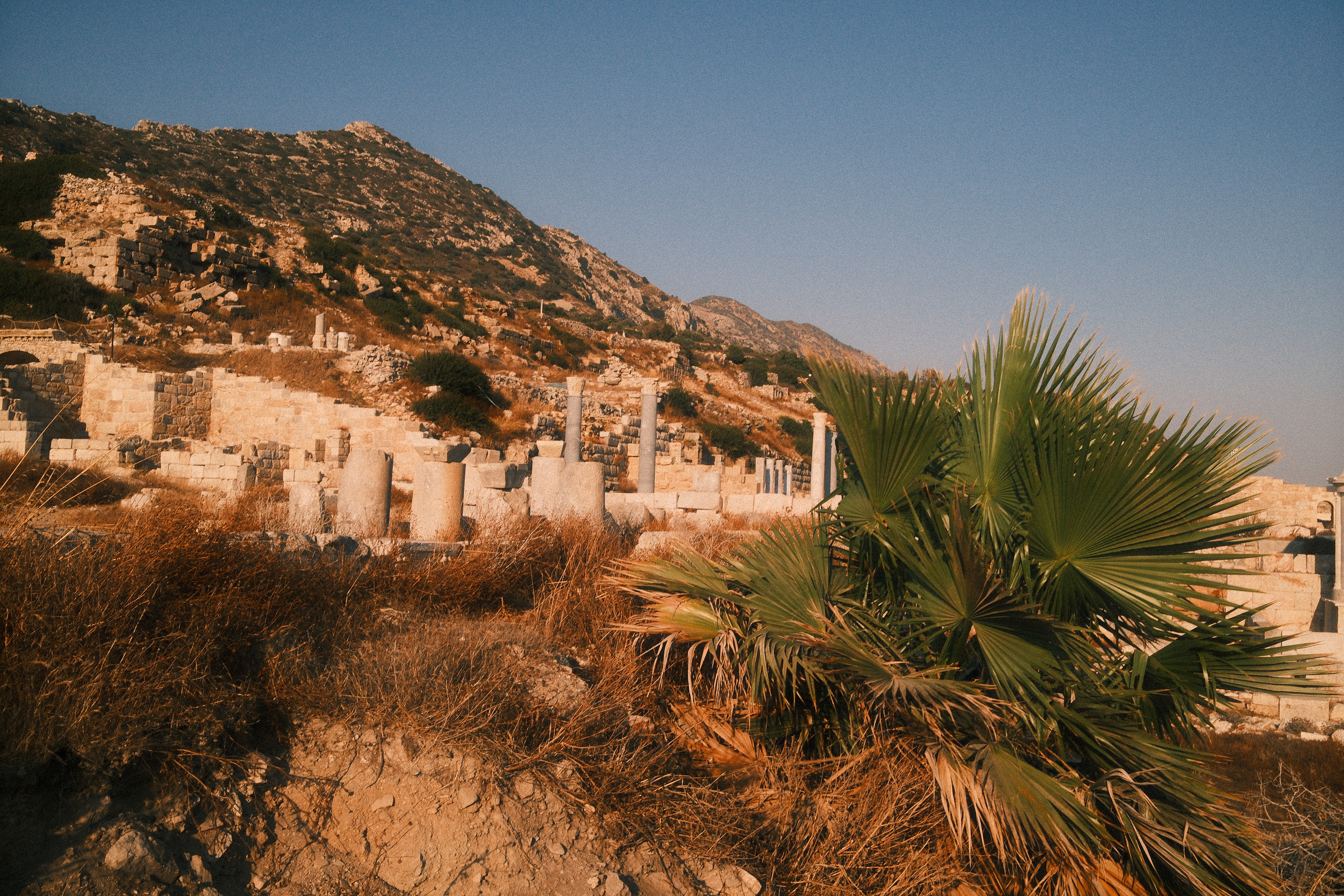 Datça Trip