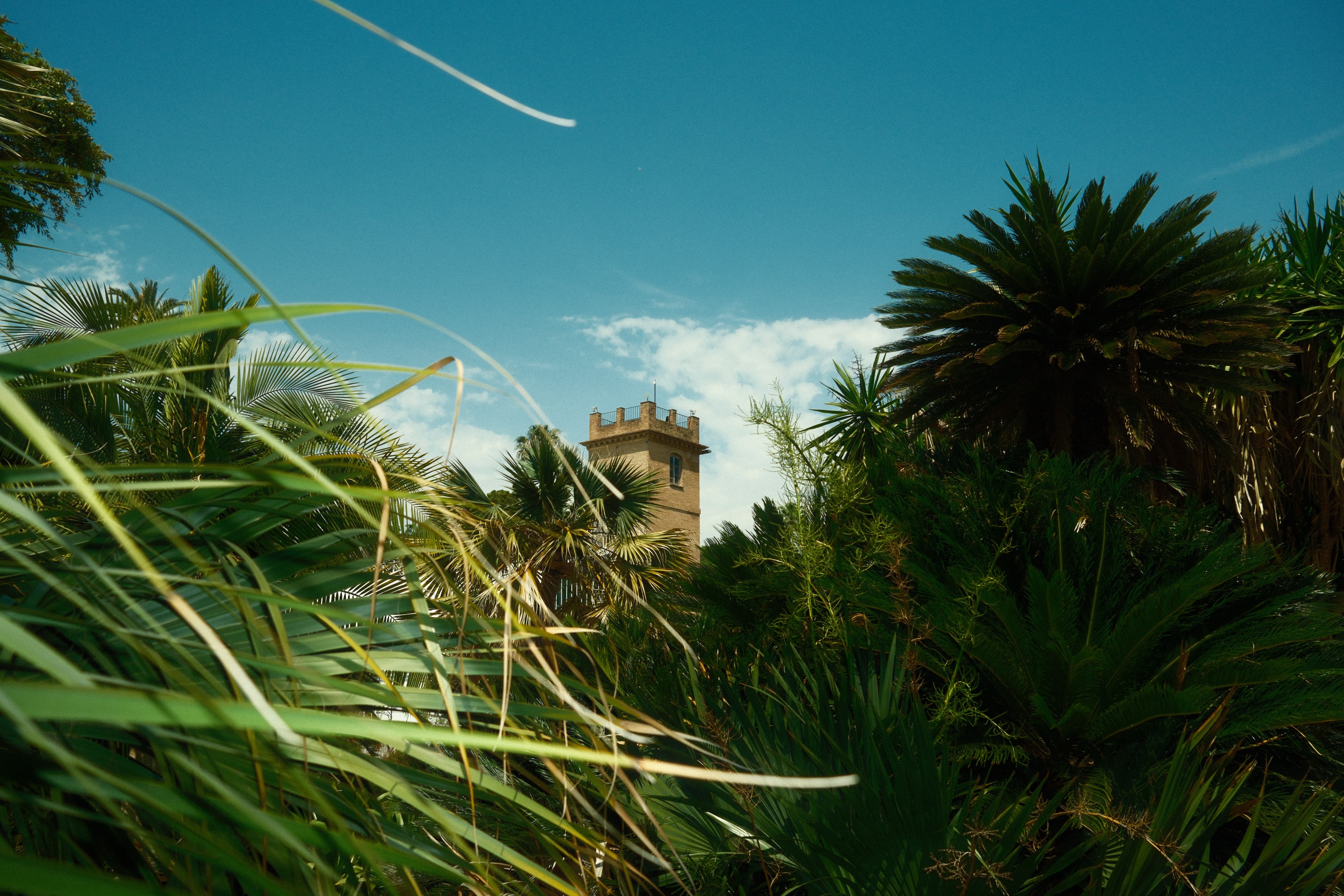 El Jardin