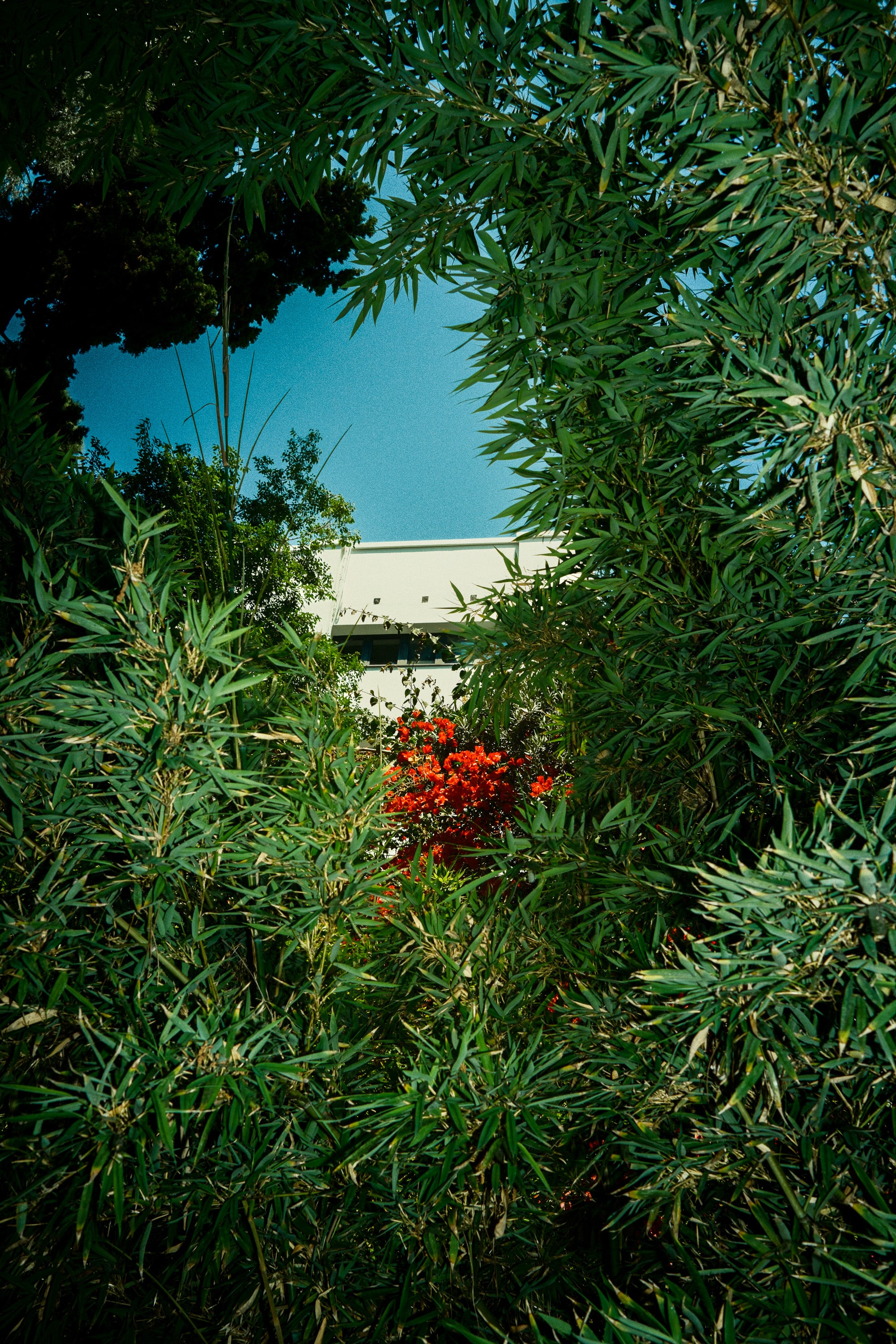 El Jardin