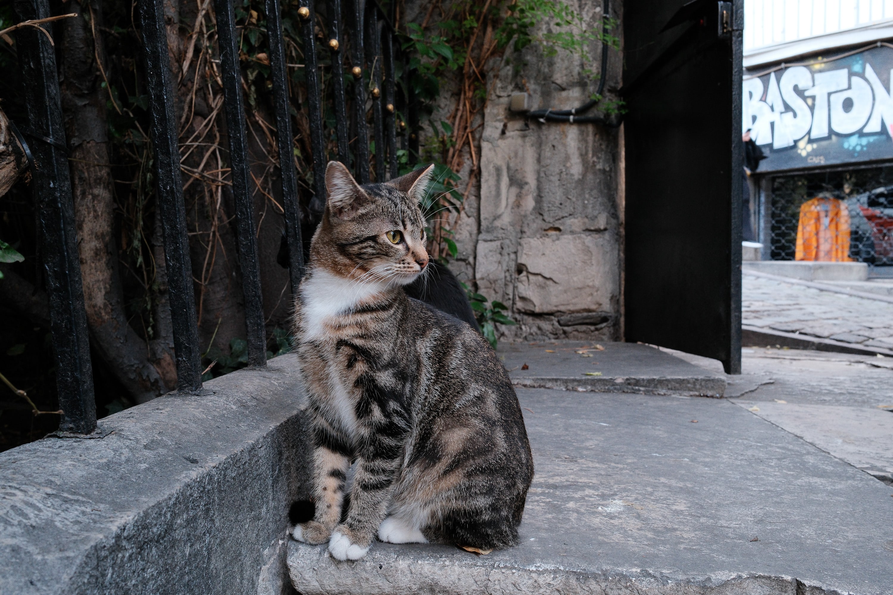 Istanbul