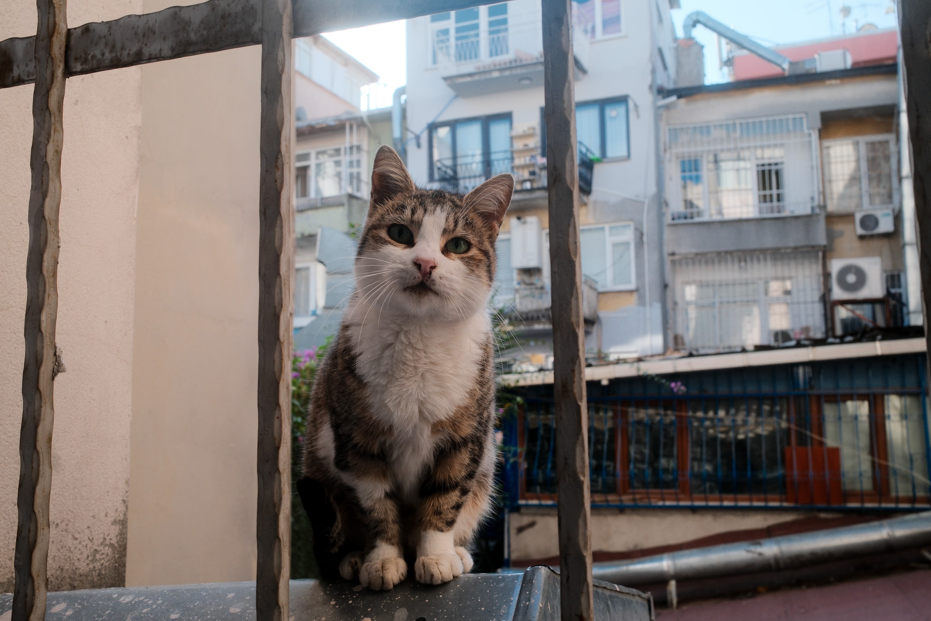Istanbul
