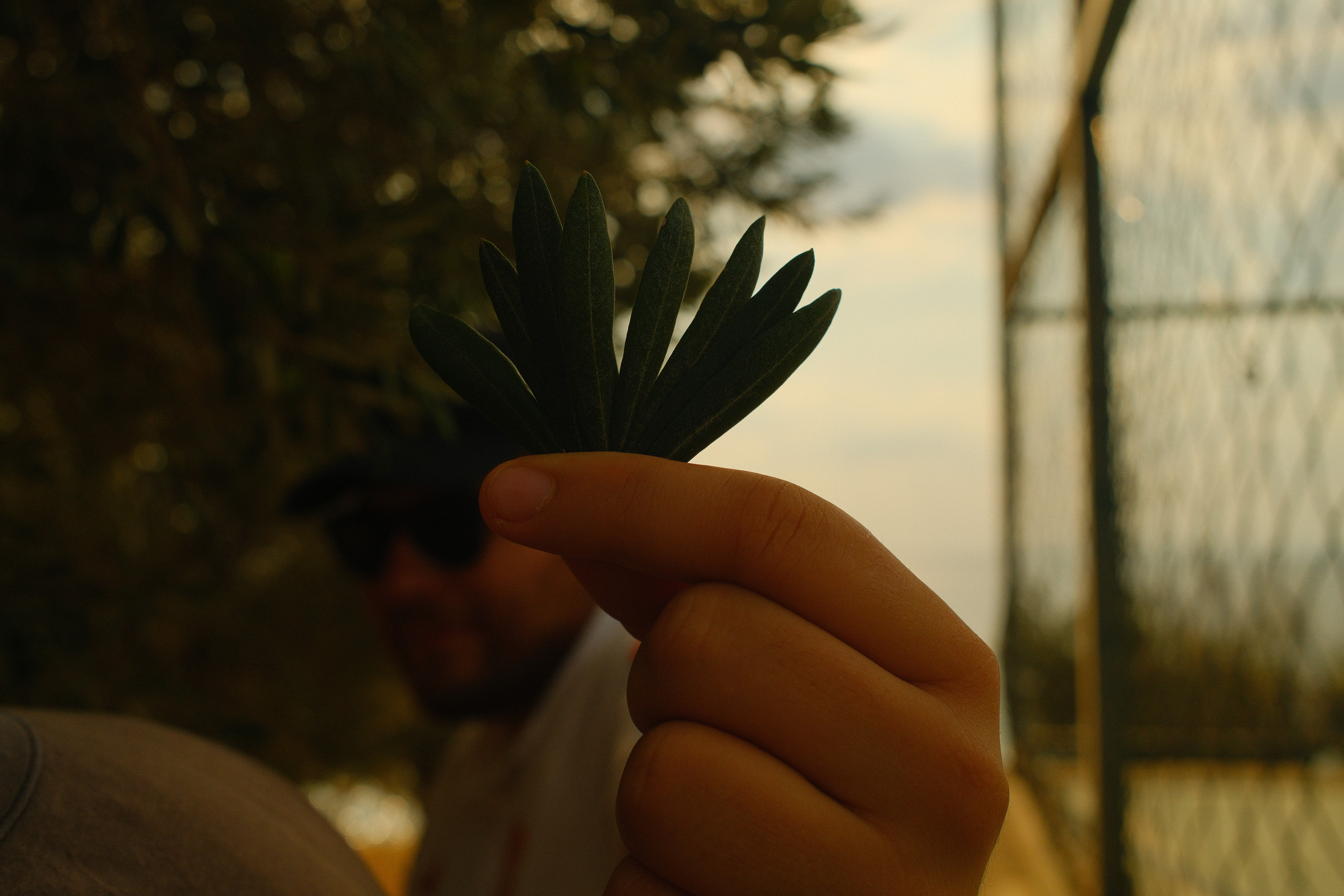 Kızko